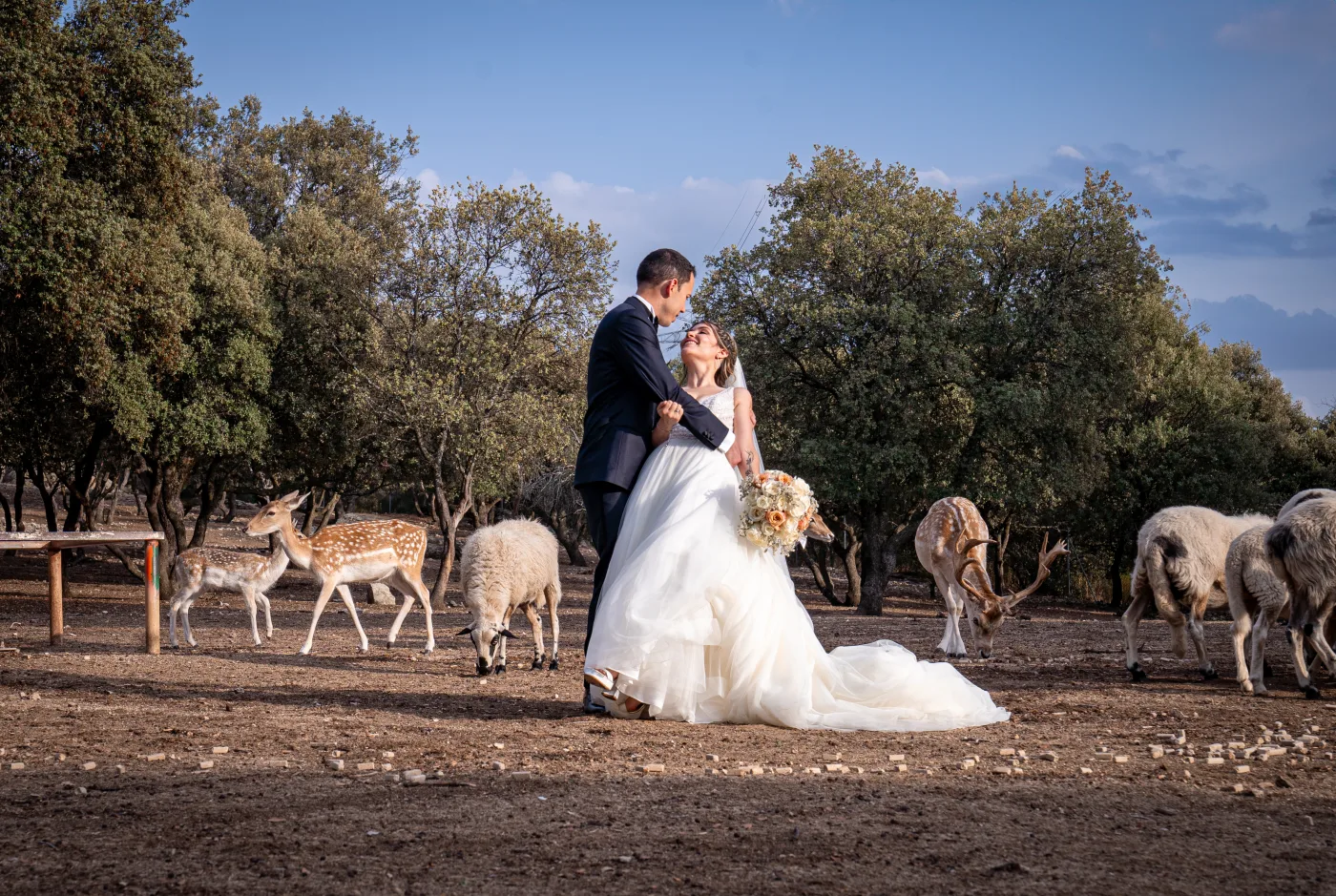 Colección 3 — foto 38