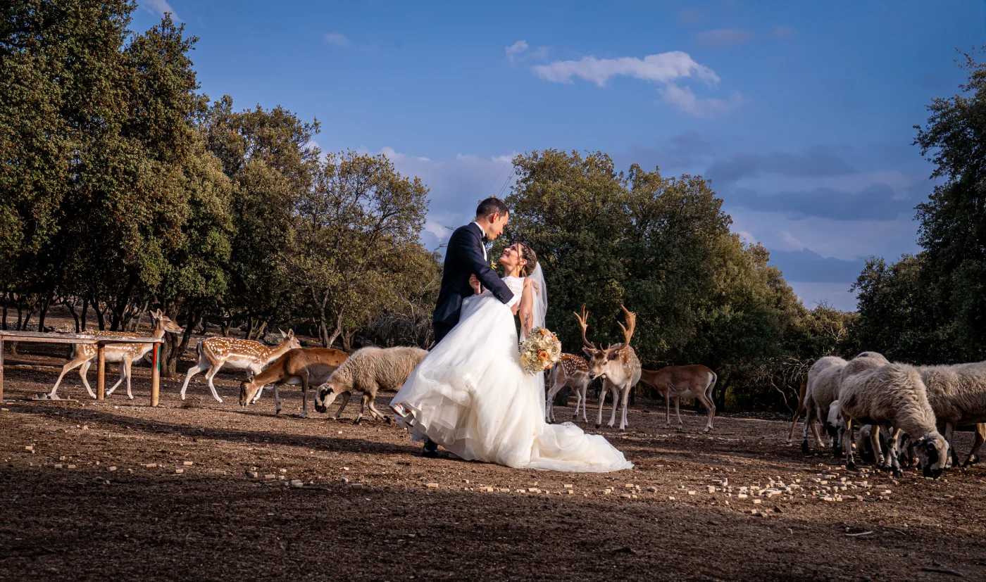 Colección 3 — foto 26